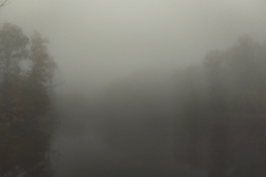 IMG_20221023_113306