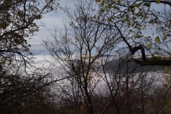 IMG_20221023_122408
