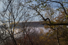 IMG_20221023_122430