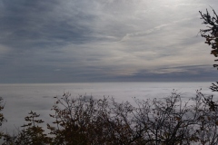 IMG_20221023_123747