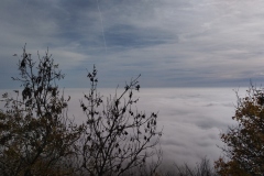 IMG_20221023_124403
