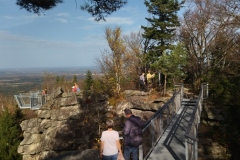 IMG_20221030_110317