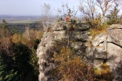 IMG_20221030_110459