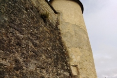 IMG_20221117_123648