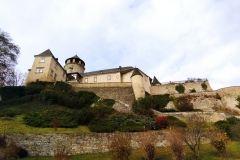 IMG_20221117_123930