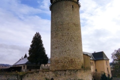 IMG_20221117_124551