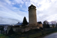 IMG_20221117_124615
