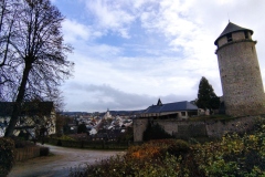 IMG_20221117_124650