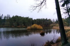 IMG_20221117_135959