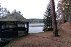 IMG_20221117_141503