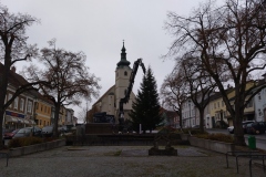 IMG_20221117_144808