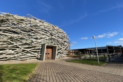 IMG_6038
