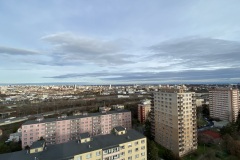 IMG_6046