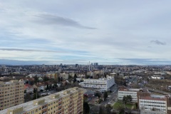 IMG_6050