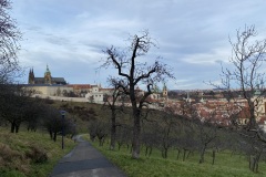 IMG_6111