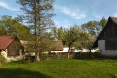 IMG_20220515_173657