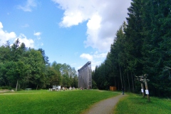 IMG_20220904_152356