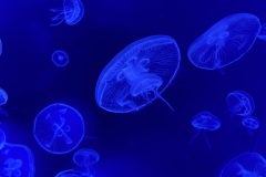 IMG_6626