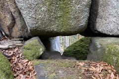 IMG_E7756