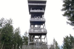 IMG_8485