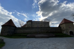 IMG_8545