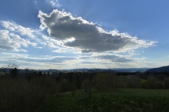 IMG_8553