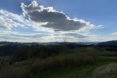 IMG_8554