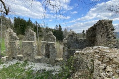 IMG_8555