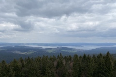 IMG_8501