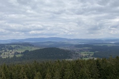 IMG_8503