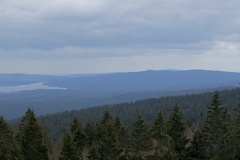 IMG_8505