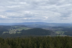 IMG_8508