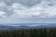 IMG_8510