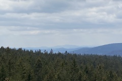IMG_8514
