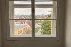 IMG_8870