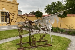IMG_8921