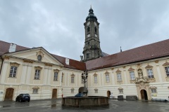 IMG_9008