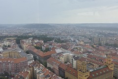 IMG_9456
