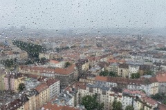 IMG_9460