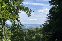 IMG_9887