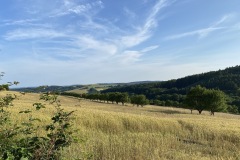 IMG_9922