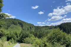 IMG_9949