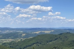 IMG_9976