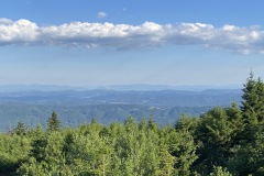 IMG_0062