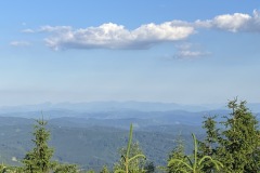 IMG_0111