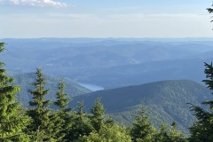 IMG_0126