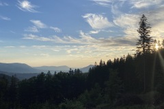 IMG_0131