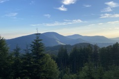 IMG_0132