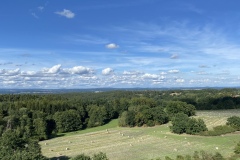 IMG_1877