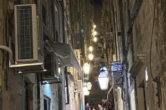 IMG_2788